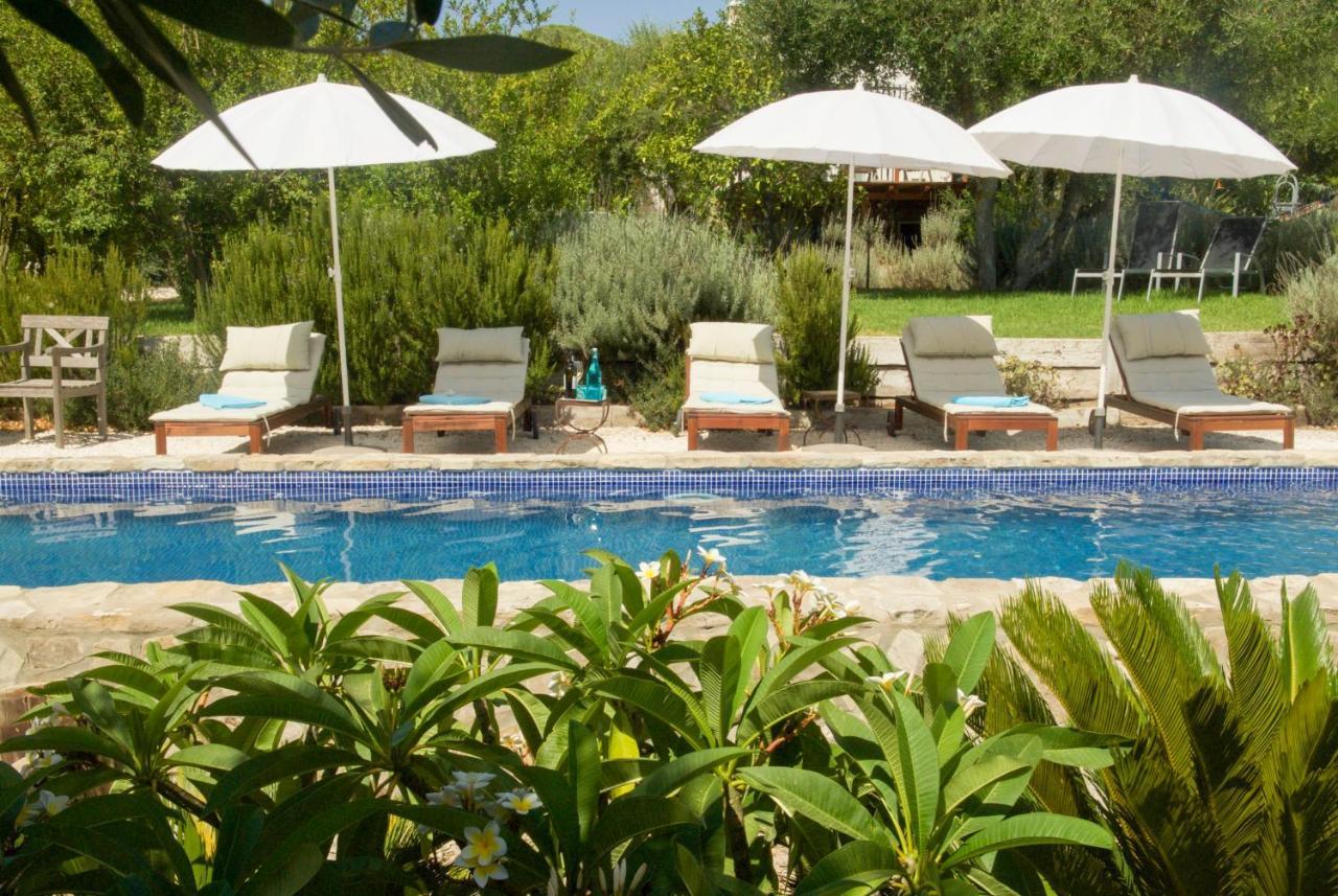 Finca Meerlust - Las Ballenas Los Canos De Meca Exterior photo